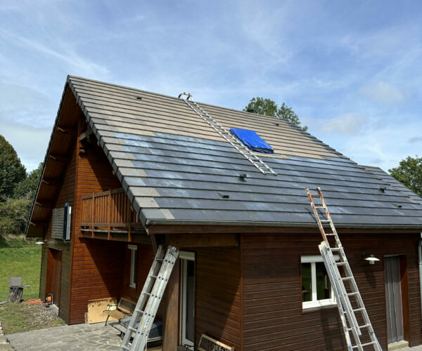 chalet en bois avec toiture amimé